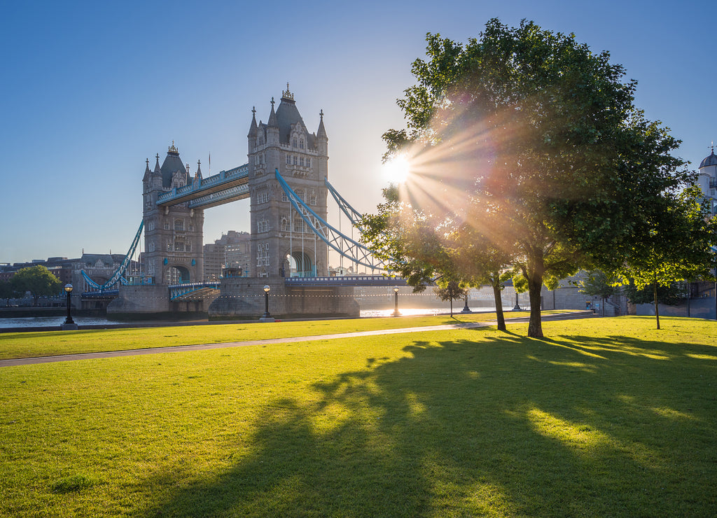 Sunrise at Tower Bridge with tree and green grass, London, UK