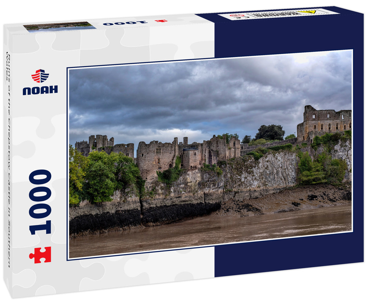 Ruins of the Chepstow Castle in Southern Wales