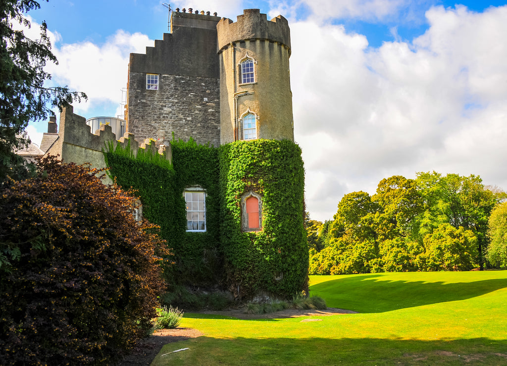 Irish Castles