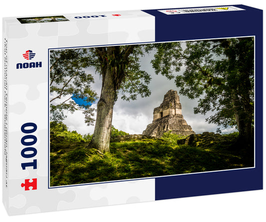 Top of mayan Temple I (Gran Jaguar) at Tikal National Park - Guatemala