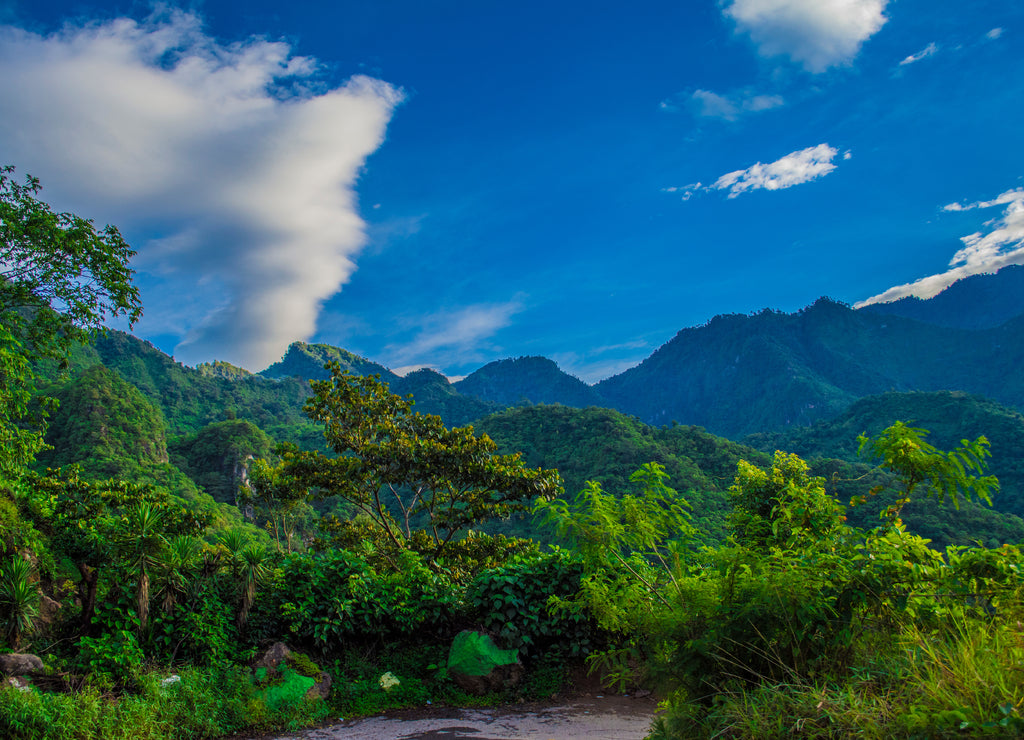 paisaje de bosque natural, sagradas guatemala