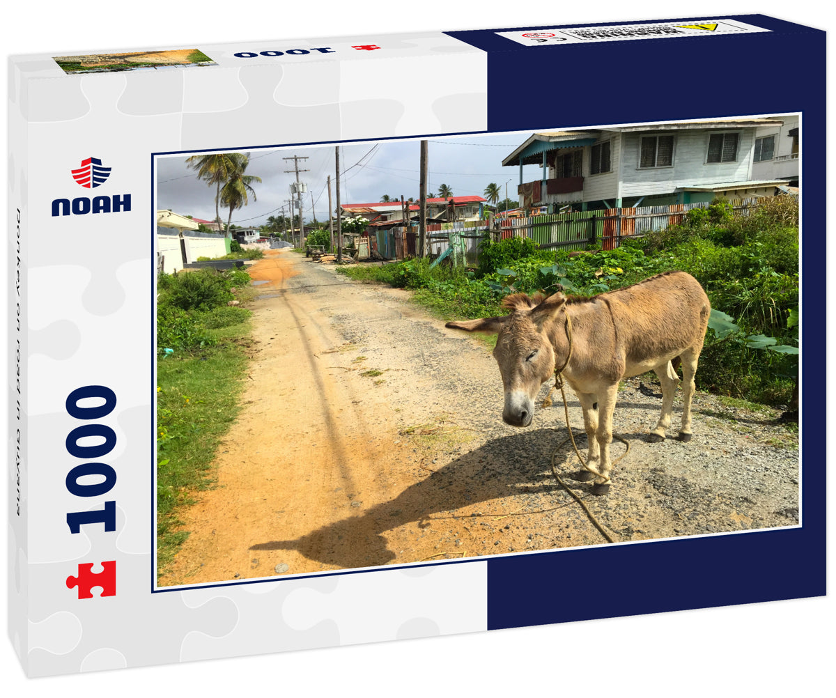 Donkey on road in Guyana