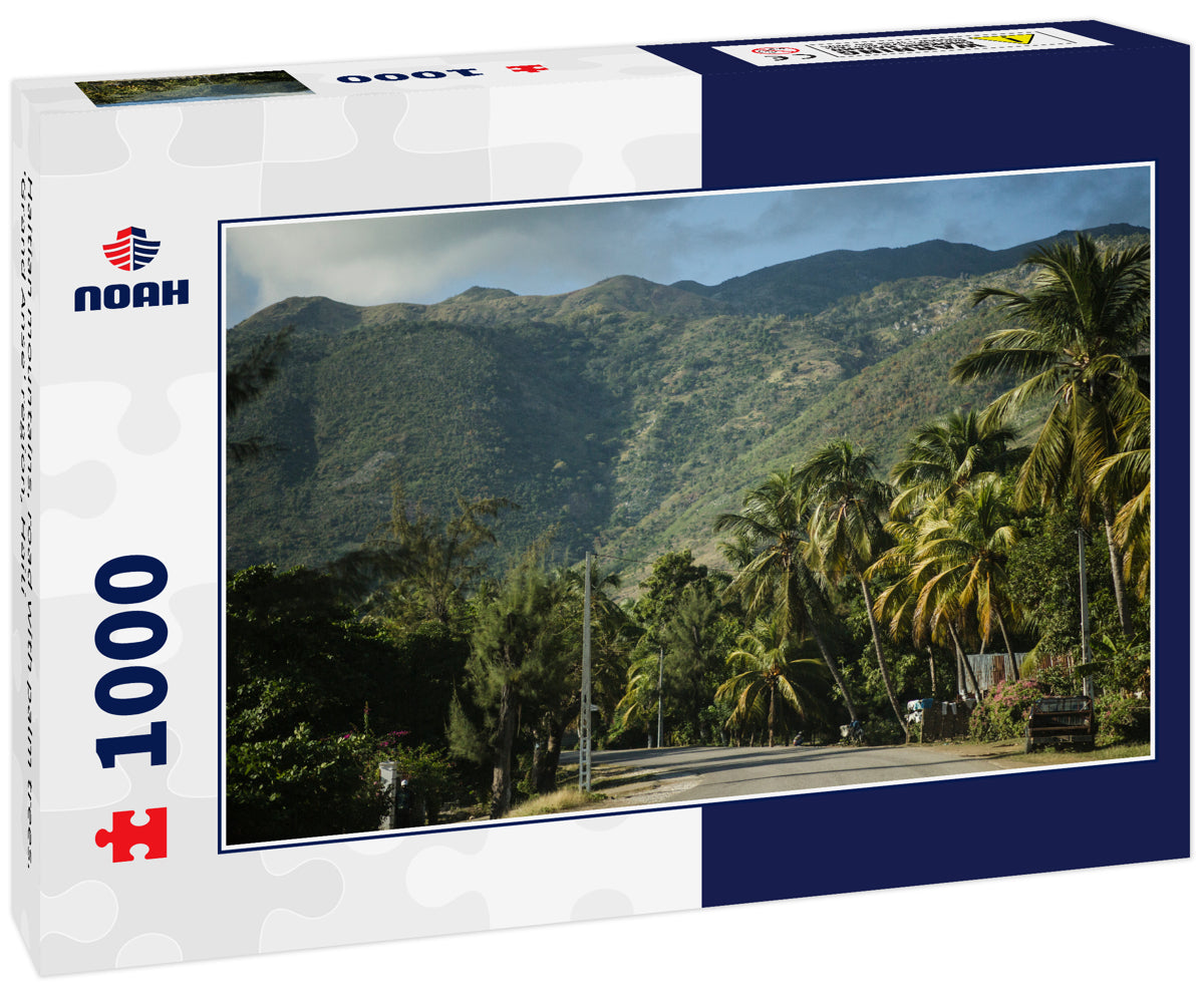 Haitian mountains, road with palm trees. 'Grand Anse' region, Haiti