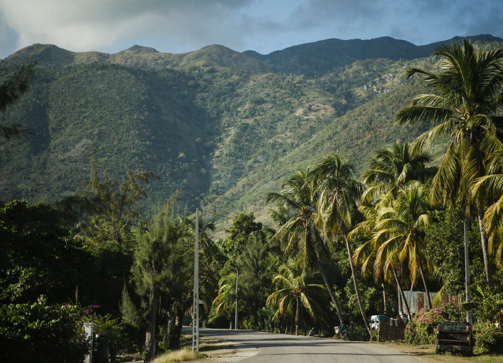 Haitian mountains, road with palm trees. 'Grand Anse' region, Haiti