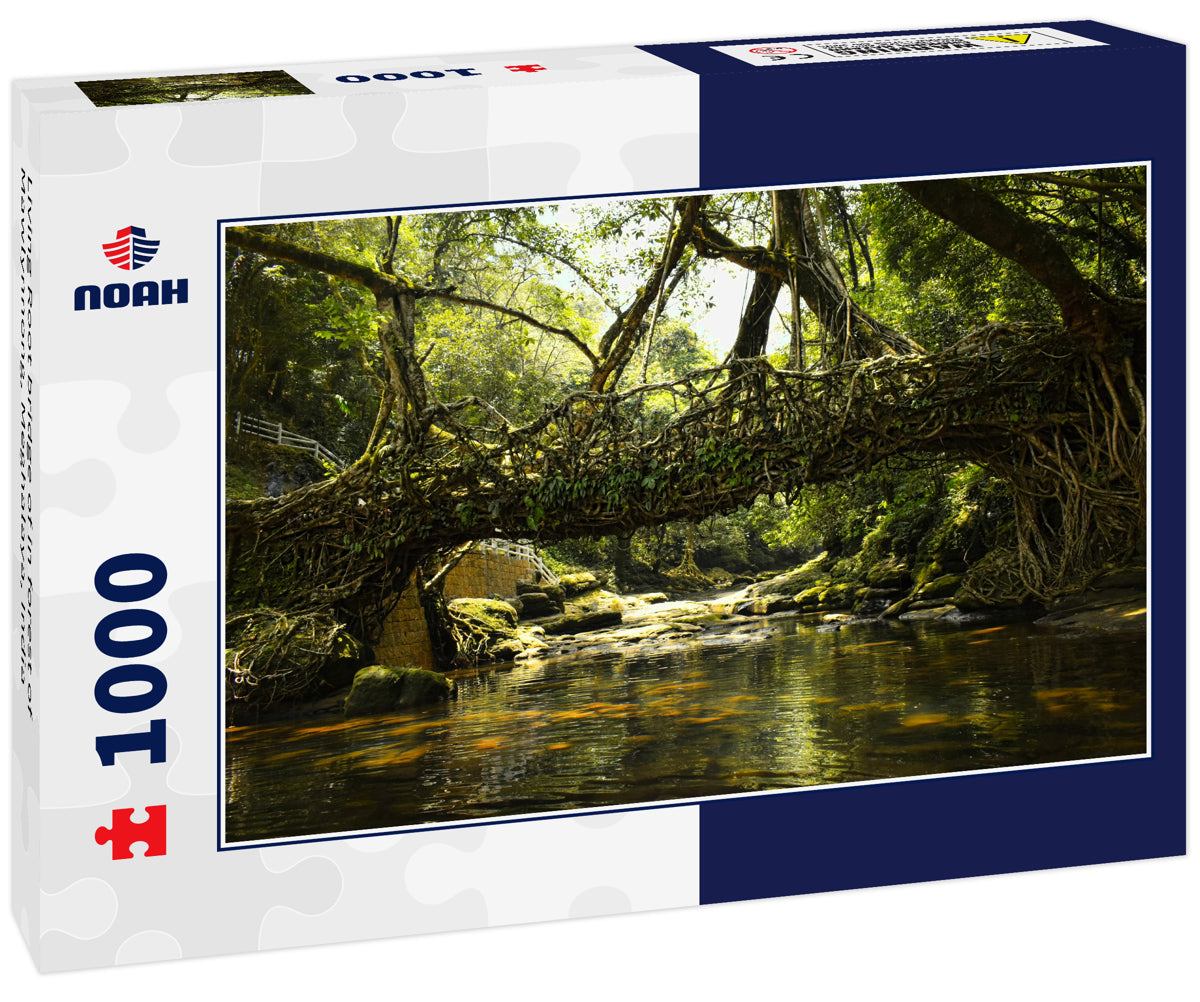 Living Root bridge of in forest of Mawlynnong, Meghalaya, India