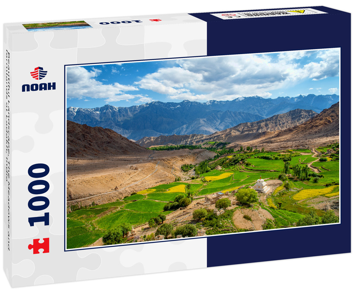 Beautiful Landscape, The Meadows and farmlands at Ladakh, India