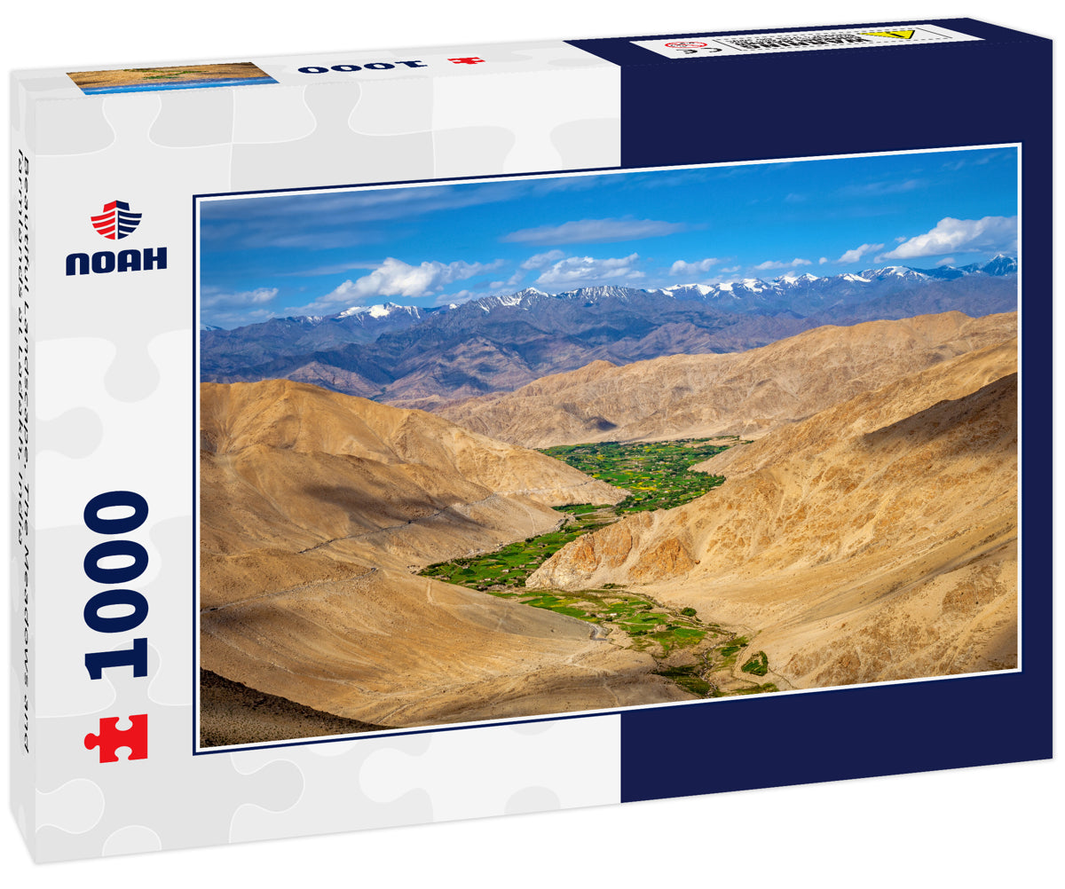 Beautiful Landscape, The Meadows and farmlands at Ladakh, India