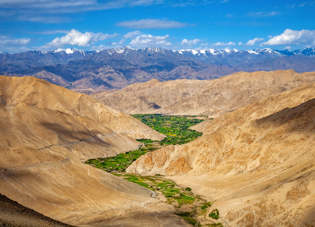 Beautiful Landscape, The Meadows and farmlands at Ladakh, India