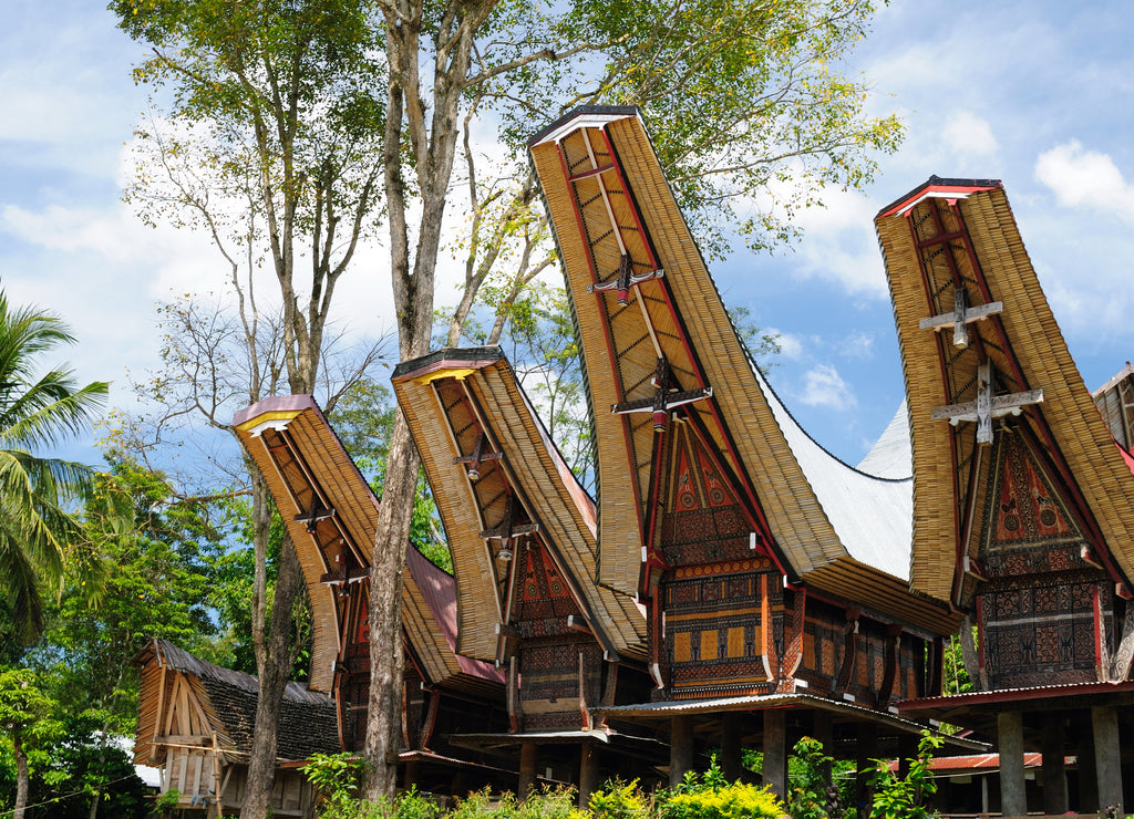 Indonesia, Sulawesi, Tana Toraja, Traditional village