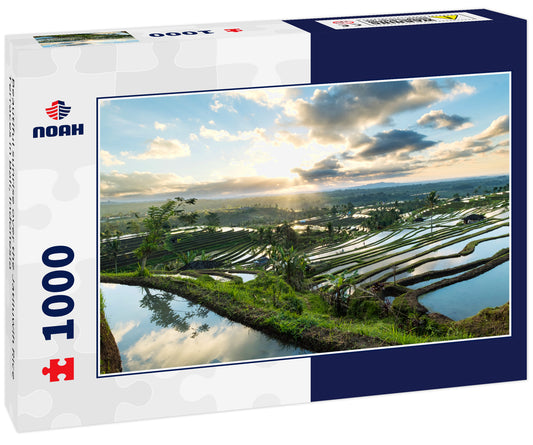 Beautiful sunrise over the Jatiluwih Rice Terraces in Bali, Indonesia