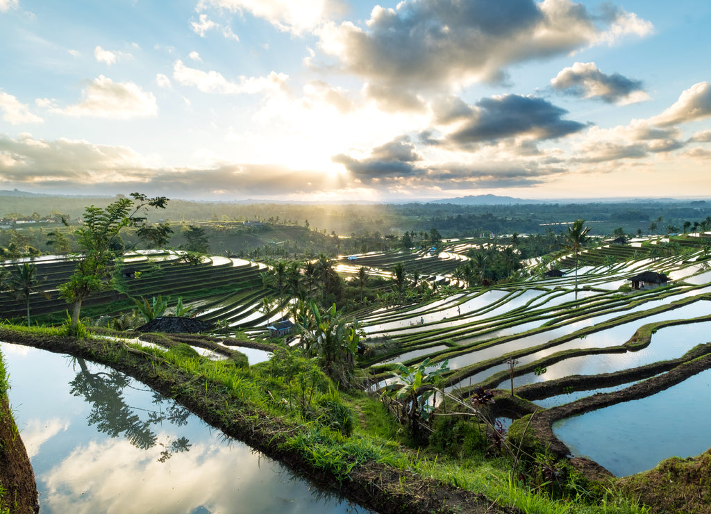 Beautiful sunrise over the Jatiluwih Rice Terraces in Bali, Indonesia