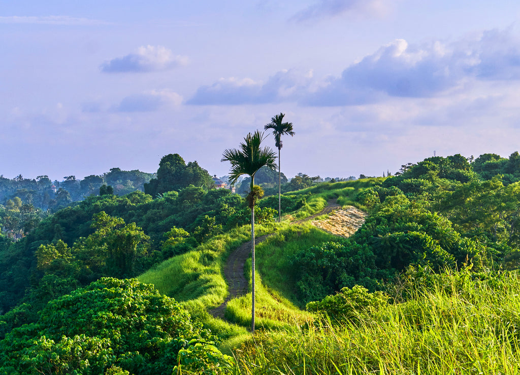 Campuhan Ridge Walk sacred trail, on Bali island, Indonesia