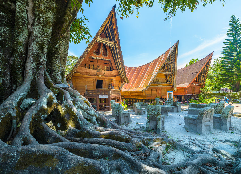 Batak traditional houses in a row, tree root in the foreground, teal orange look. Ambarita village, lake Toba, travel destination in Sumatra, Indonesia