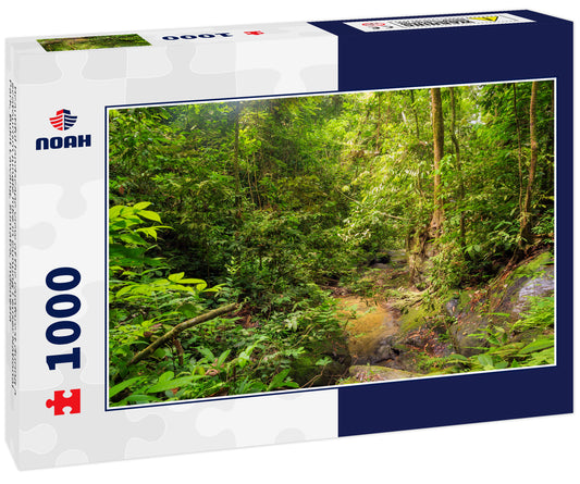 Beautiful landscape view of the rainforest during a ecotourism jungle hike in Gunung Leuser National Park, Bukit Lawang, Sumatra, Indonesia