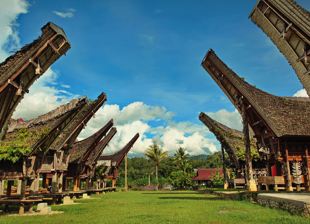 Tongkonan traditional old houses in Buntu Pune village. Tana Toraja, Sulawesi. Indonesia