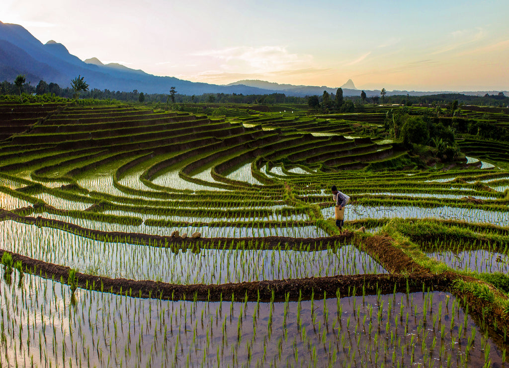 North bengkulu, Indonesia