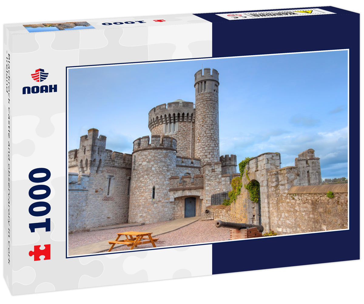 Blackrock Castle and observarory in Cork - Ireland