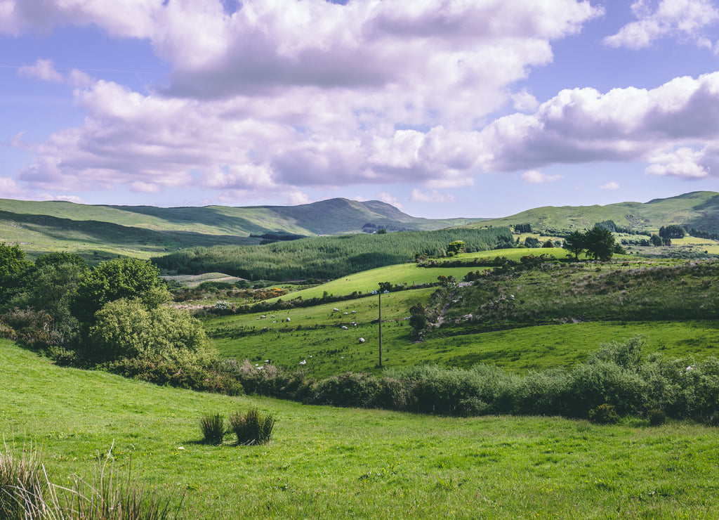 The green fields as seen from the countryside R585 road of Cousane Gap in County Cork, Ireland
