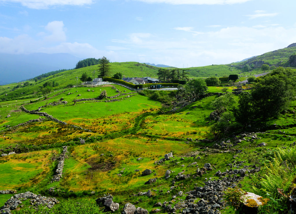 Scenic green hills and fields along the Ring of Kerry, near Killarney National Park, Ireland