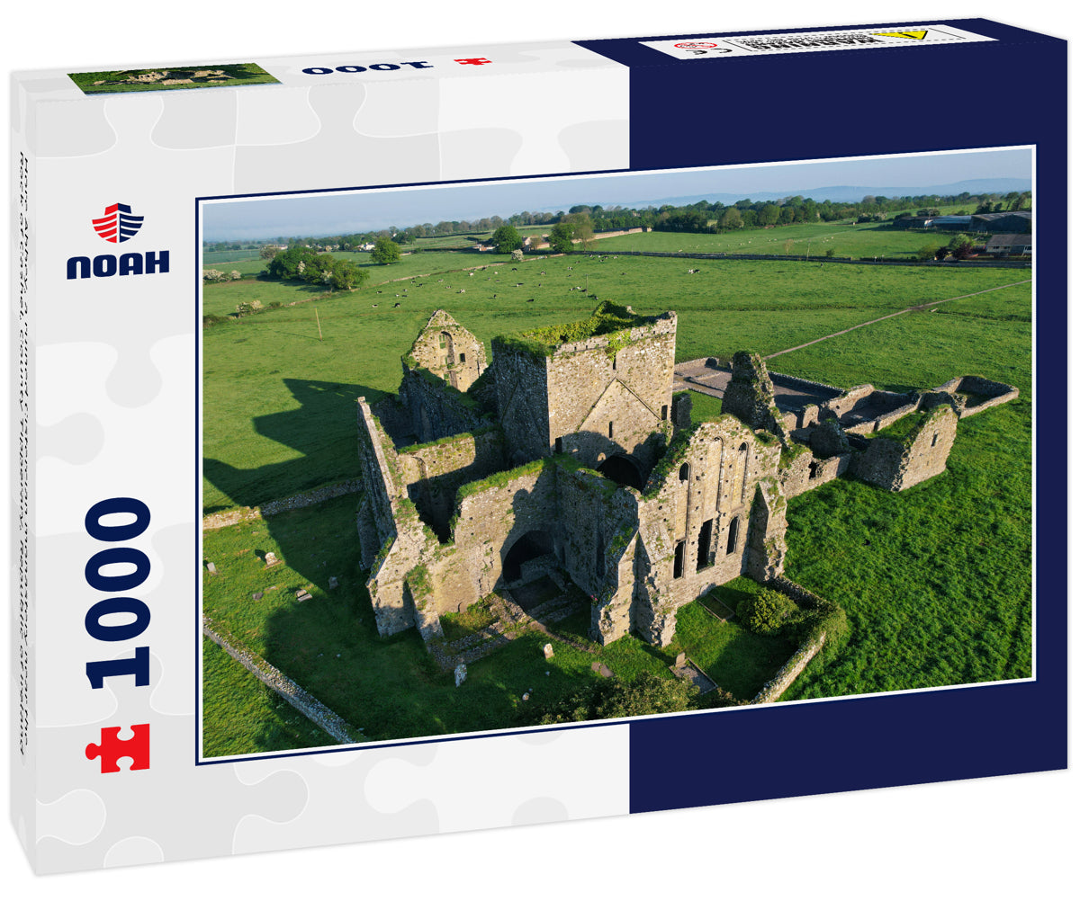 Hore Abbey, a ruined Cistercian monastery near the Rock of Cashel, County Tipperary, Republic of Ireland