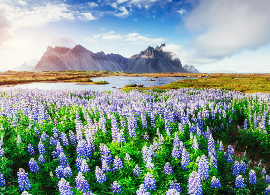 Picturesque views of the river and mountains in Iceland