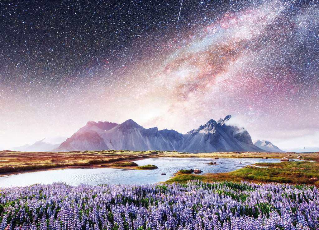 The picturesque landscapes of forests and mountains Iceland