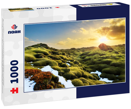 Beautiful panorama of the amazing volcanic mossy landscape of Eldhraun at sunrise in Iceland