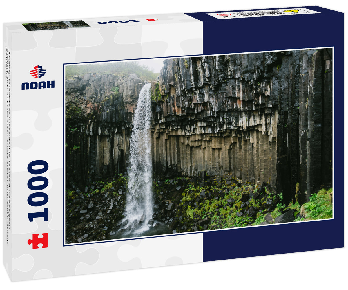 Mighty Svartifoss waterfall in Iceland under grey cloudy sky. Crystal clear white water and black basalt columns