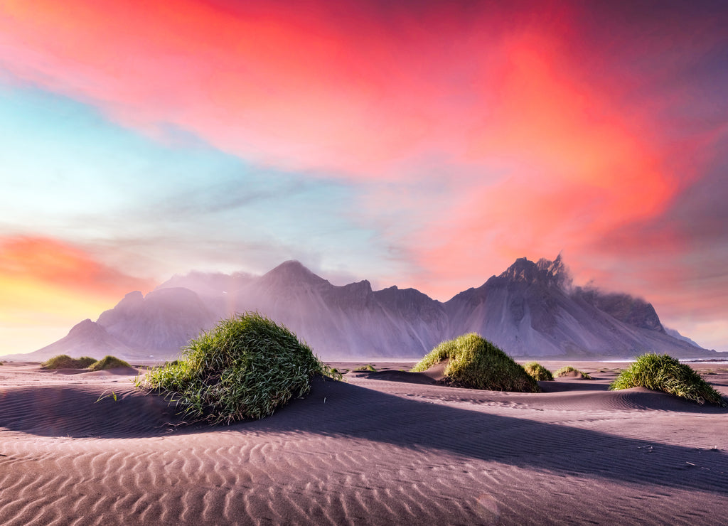 Gorgeous landscape with black sand desert dunes and grassy bumps near famous Stokksnes mountains on Vestrahorn cape, Iceland