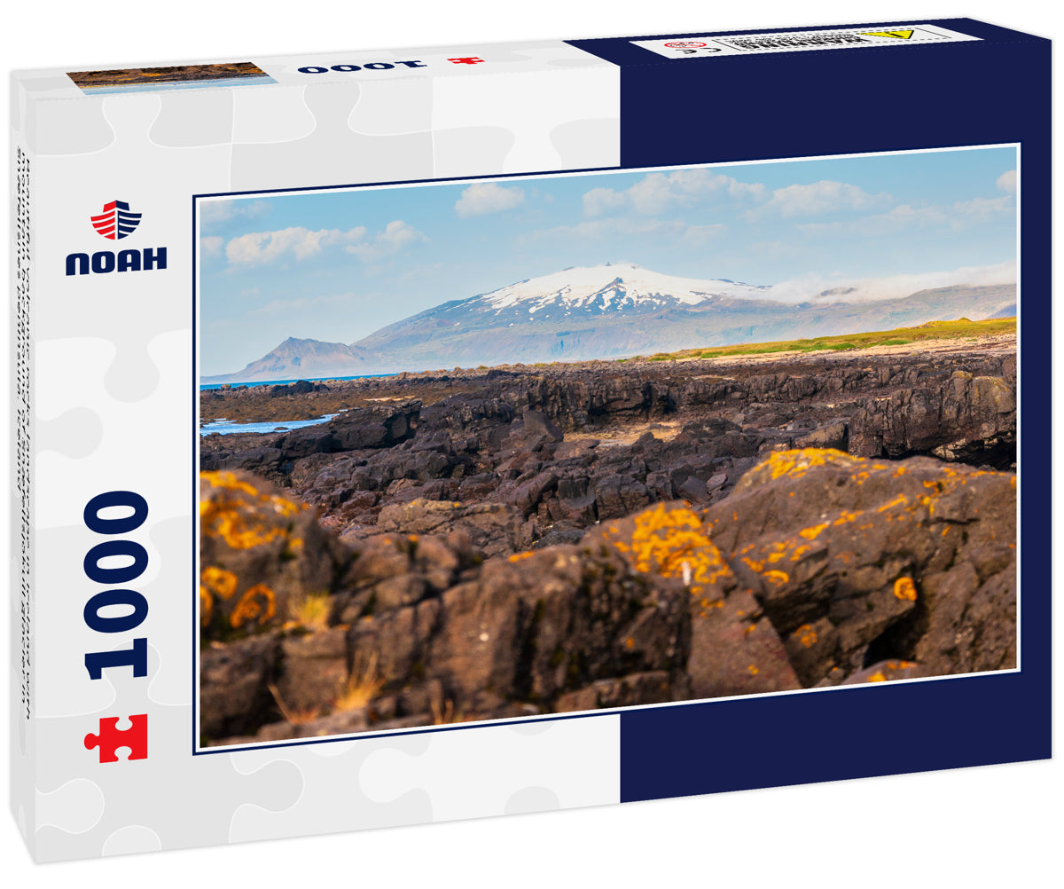 Beautiful volcanic rocks landscape in Iceland with mountain background of Snæfellsjökull glacier in Snæfellsnes peninsula. Iceland