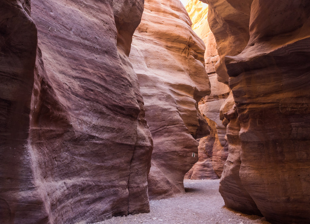Red Canyon in Negev desert, Israel, beautiful geological formation in desert, colorful sandstone canyon walking route
