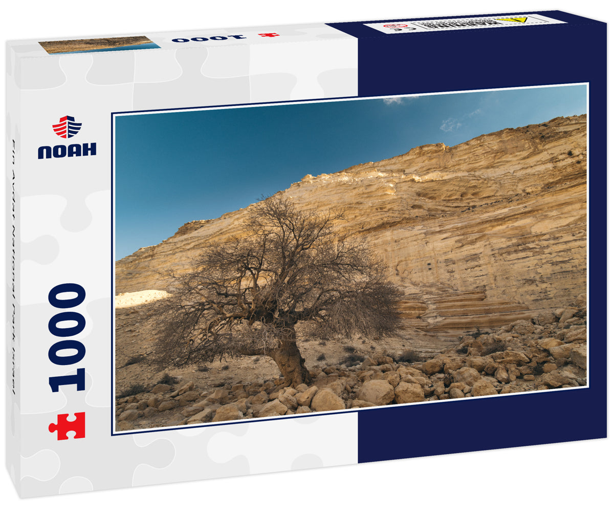 Ein Avdat National Park Israel