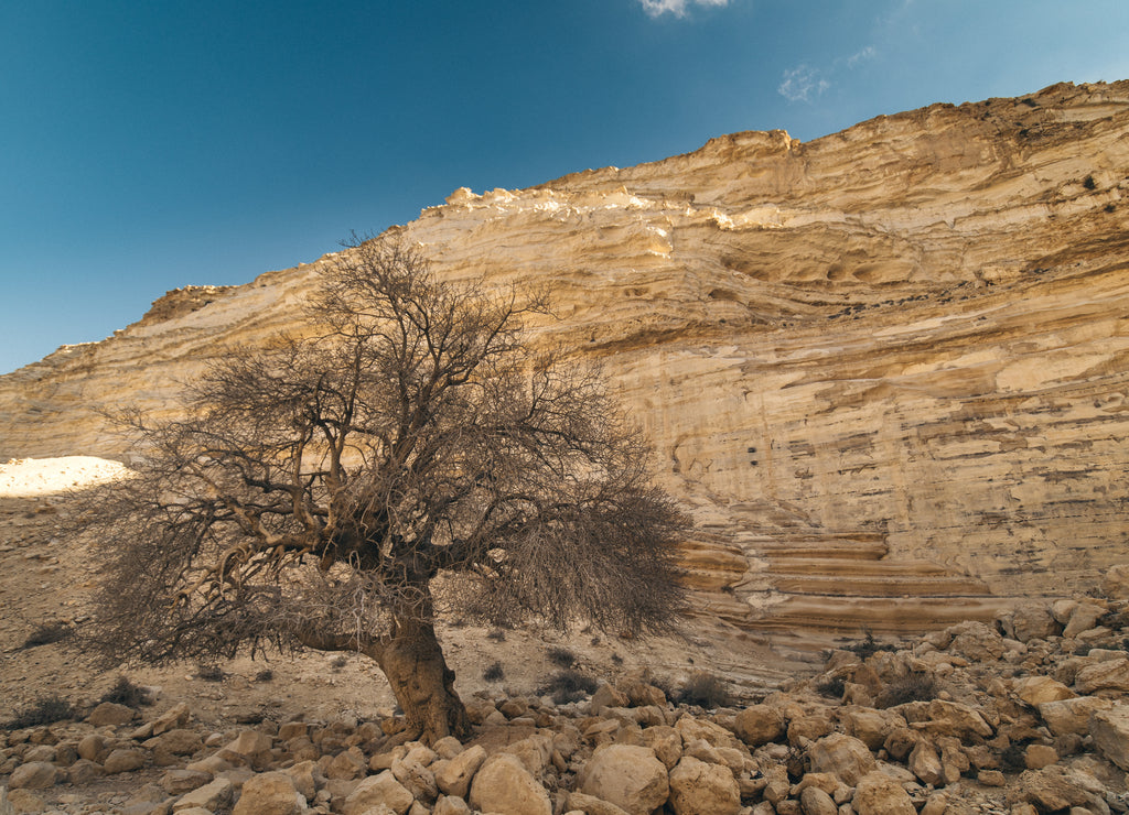 Ein Avdat National Park Israel