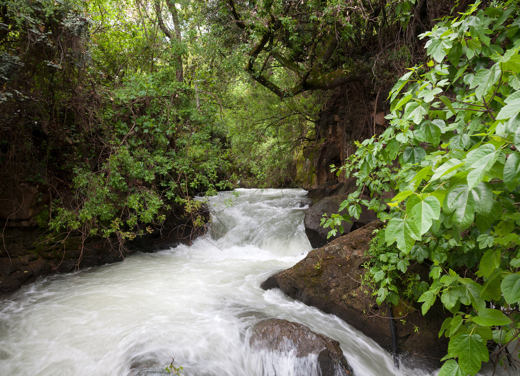 Banias, The Golan Heights, Israel