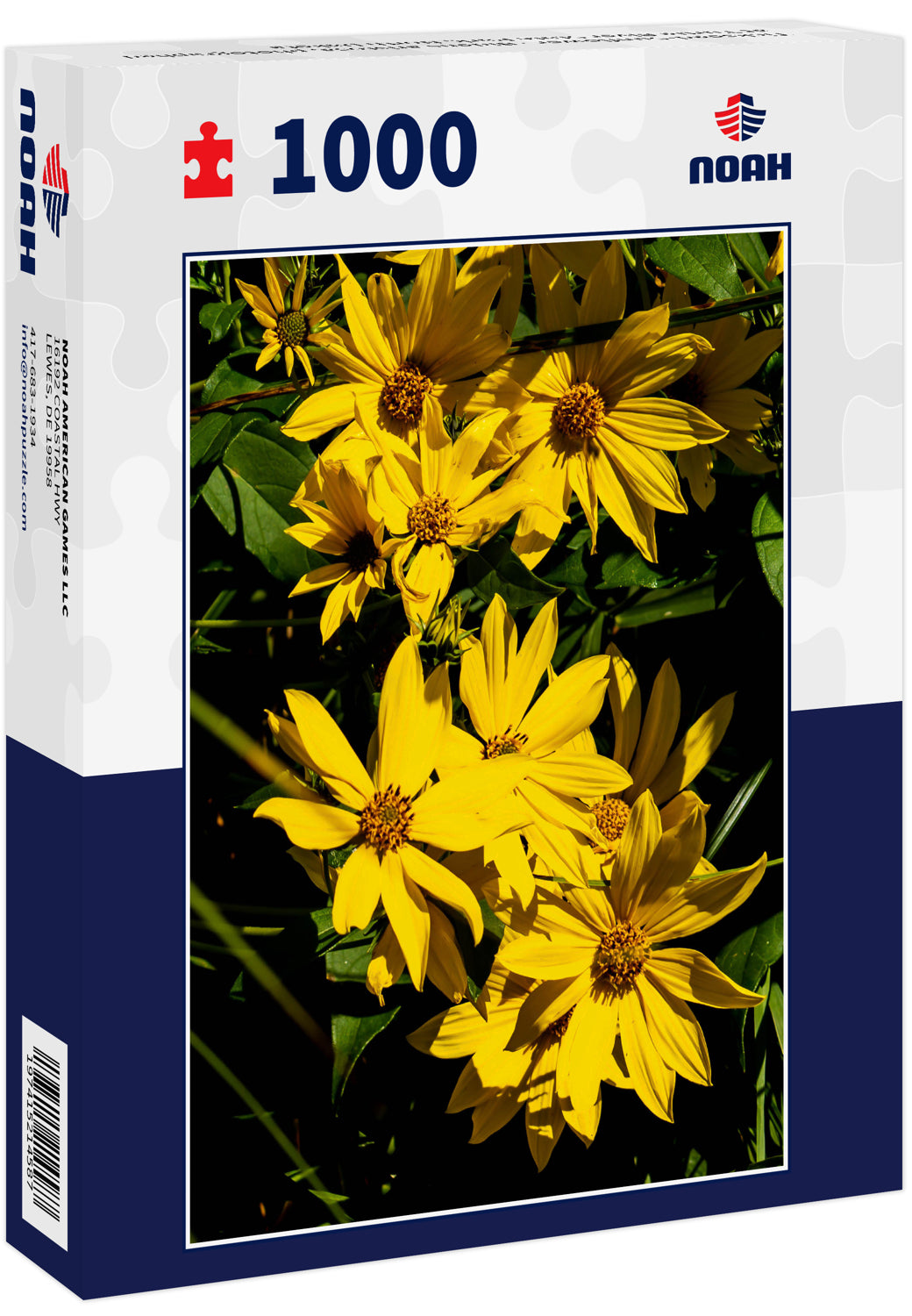 Tickseed-Sunflower - Bidens aristosa, photographed at Turtle River State Park, North Dakota