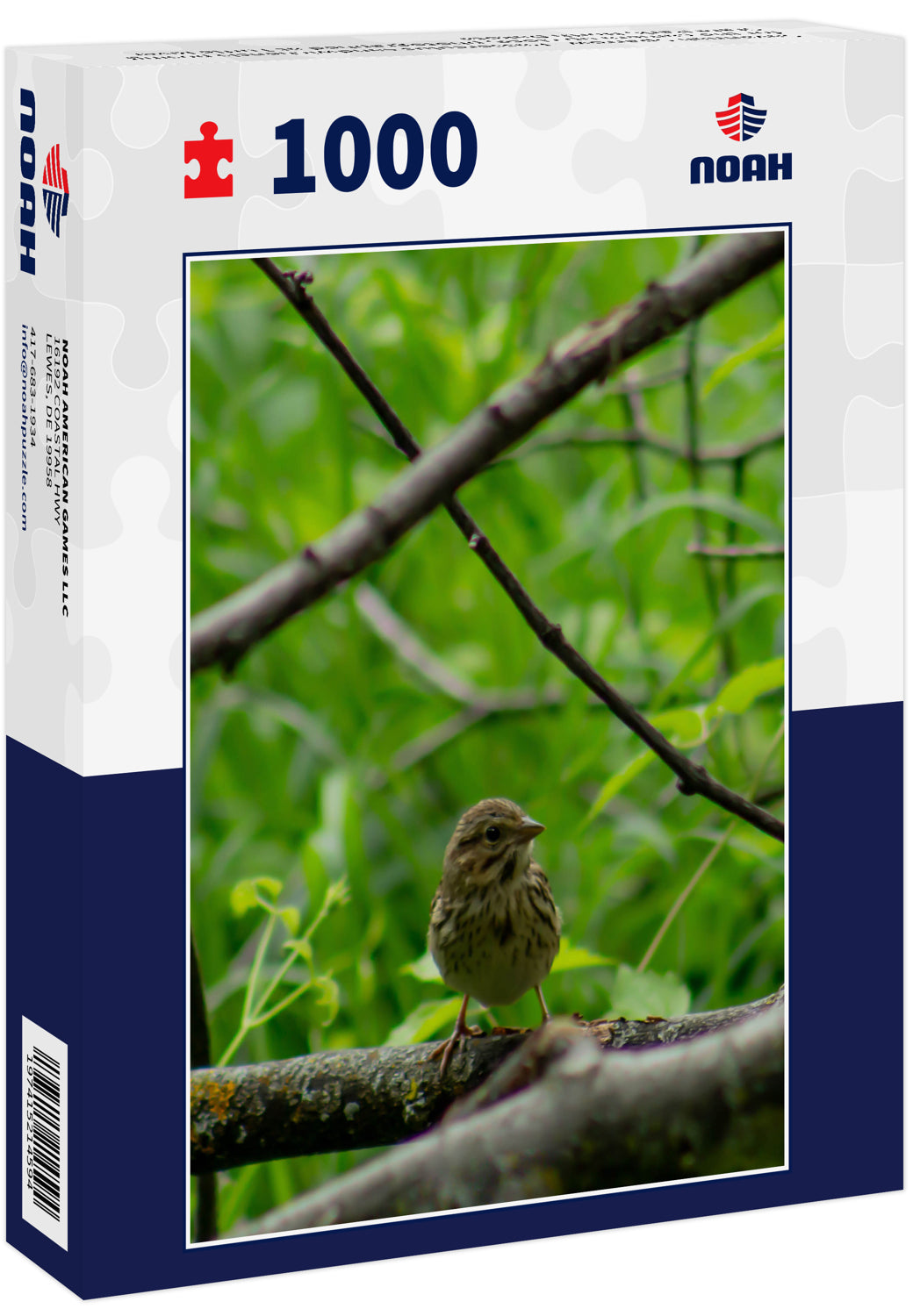 Savannah Sparrow - Passerculus sandwichensis posing for the camera up close, photographed at Turtle River State Park, North Dakota