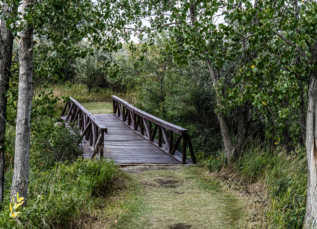 McDowell Dam Recreation Area is a 271 acre park located 5 miles from Bismarck North Dakota