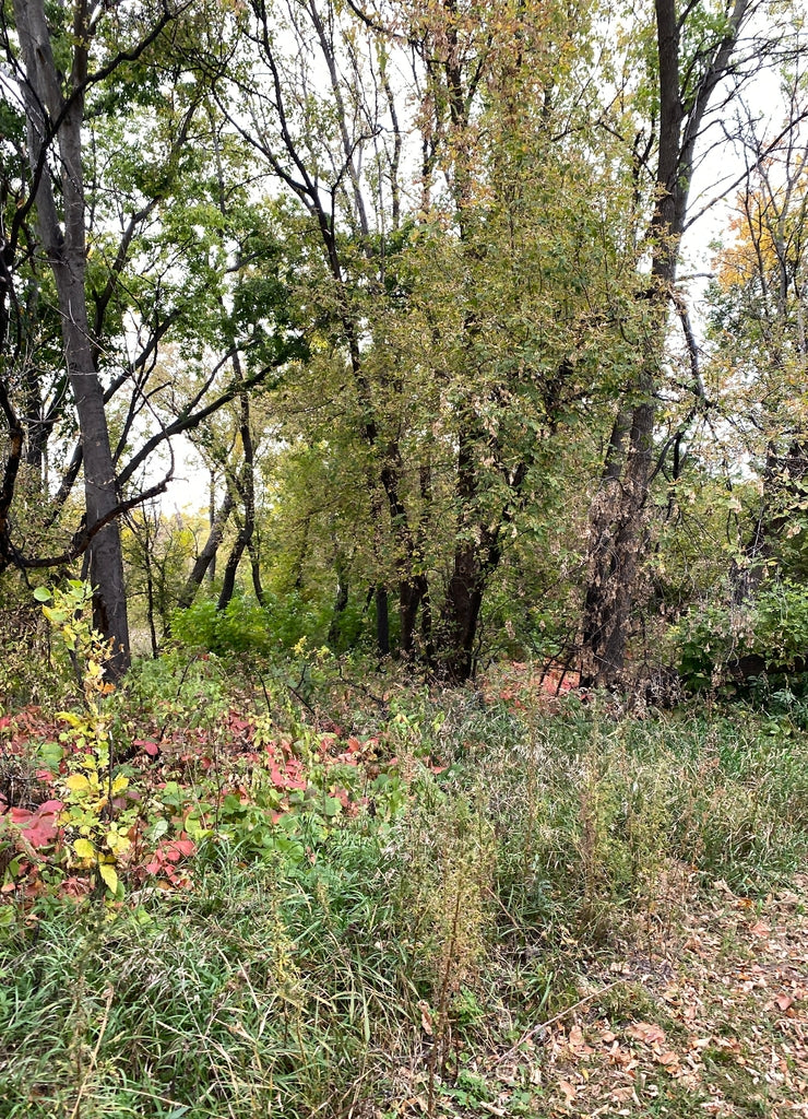 North Dakota Scenic Landscape