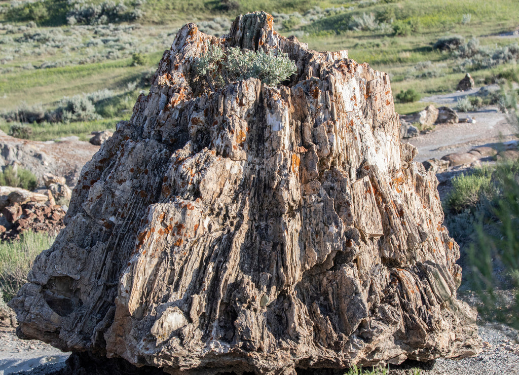 Wild scenic Landscapes of North Dakota