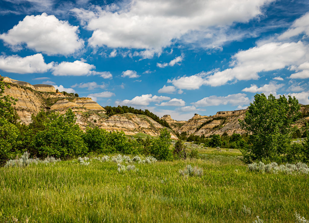 Theodore Roosevelt National Park North Unit, North Dakota