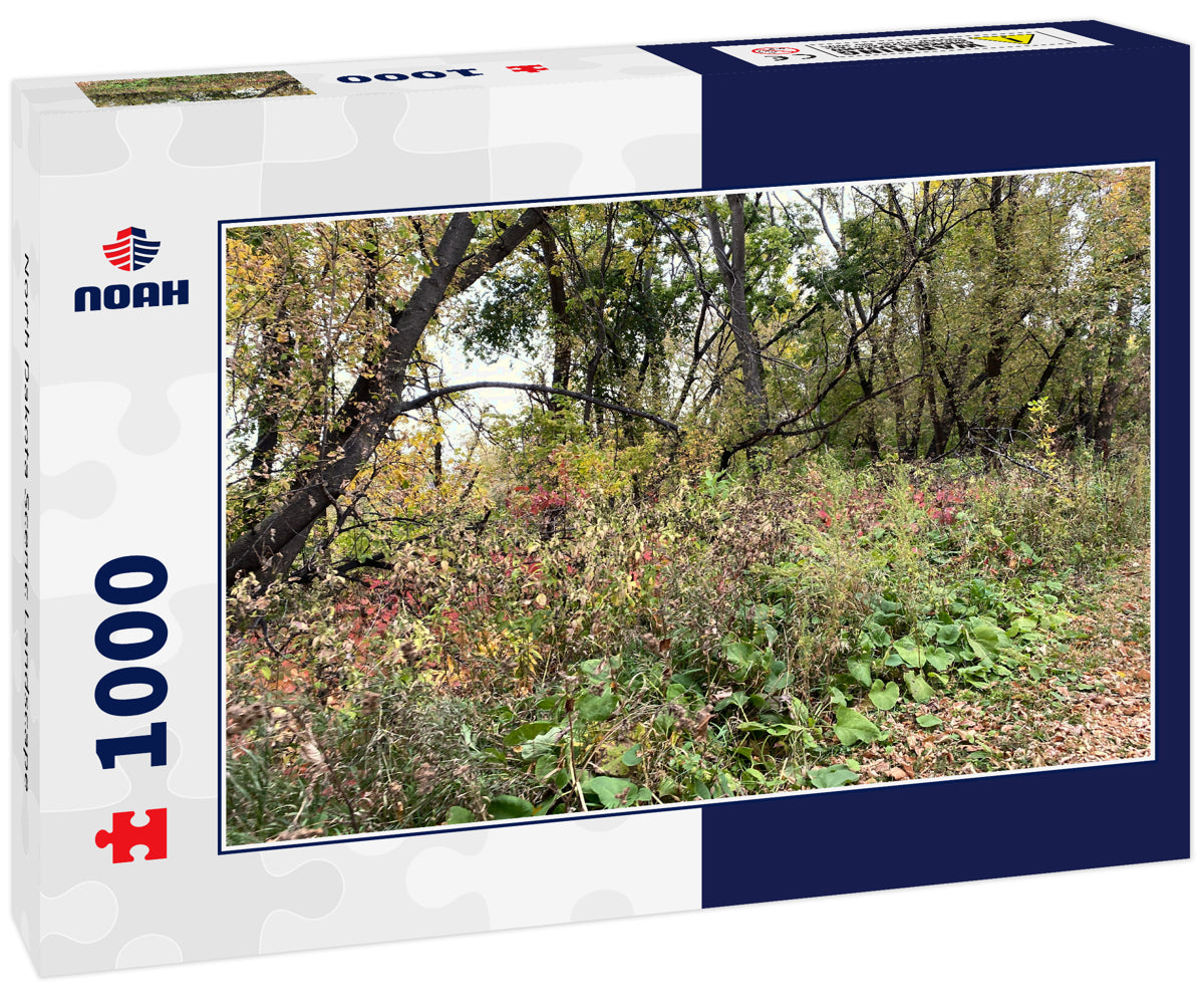 North Dakota Scenic Landscape