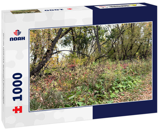 North Dakota Scenic Landscape