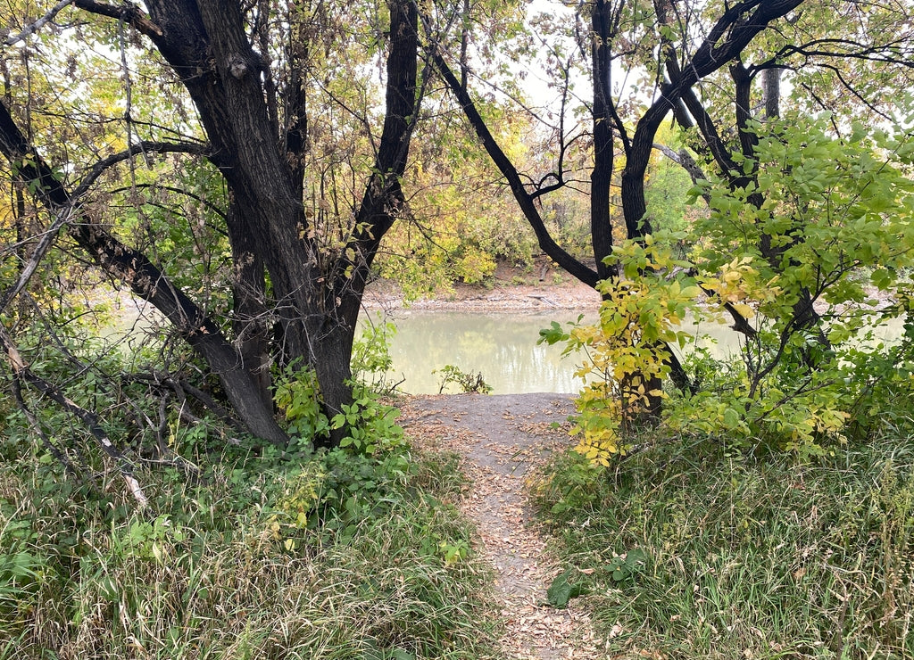 North Dakota Scenic Autumn Landscape