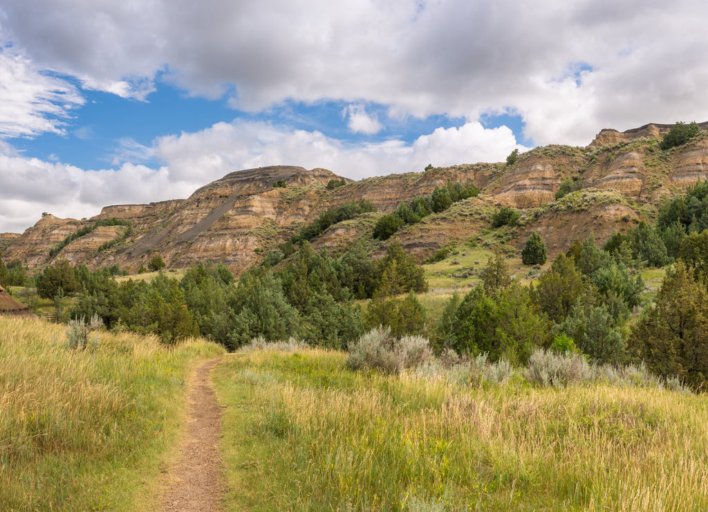 Along the Caprock Coulee Nature Trail in the Theodore Roosevelt National Park - North Unit on the Little Missouri River - North Dakota Badlands