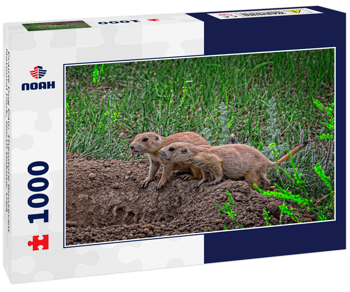 Prairie Dog Pair, Theodore Roosevelt National Park, North Dakota, USA