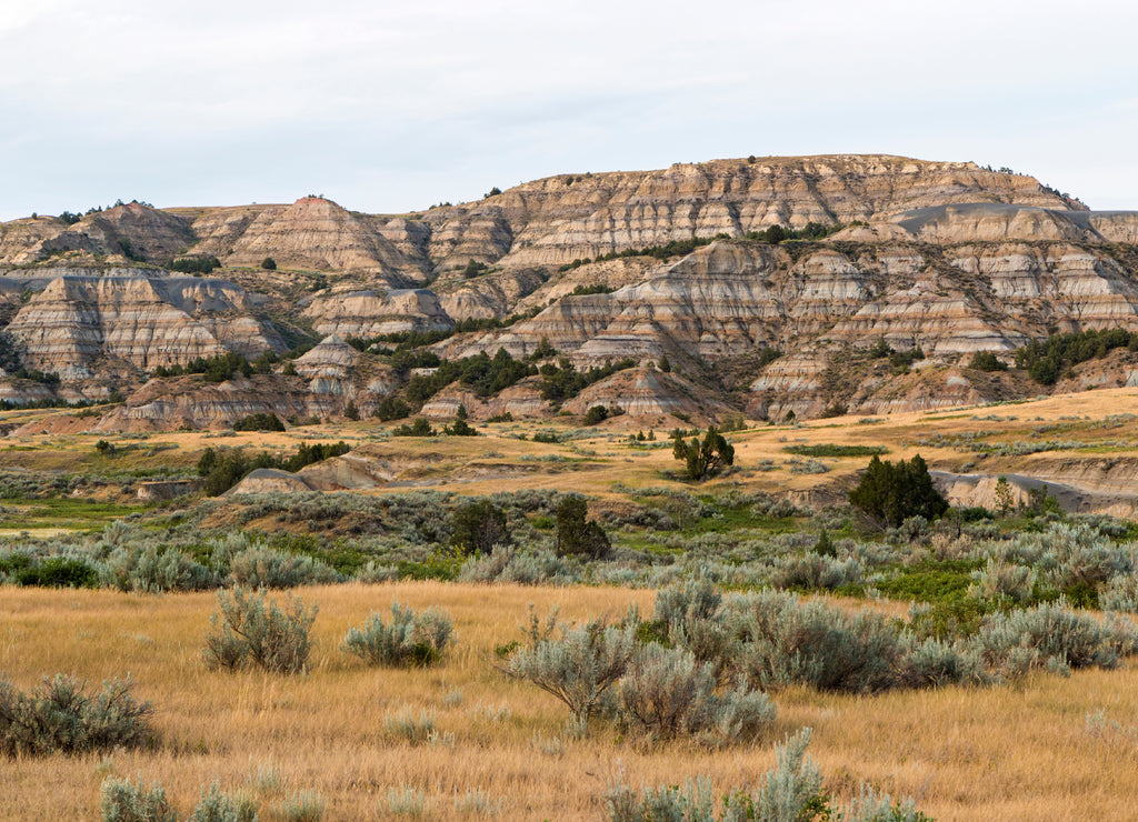 Landscape view of Theodore Roosevelt National Park (North Dakota)