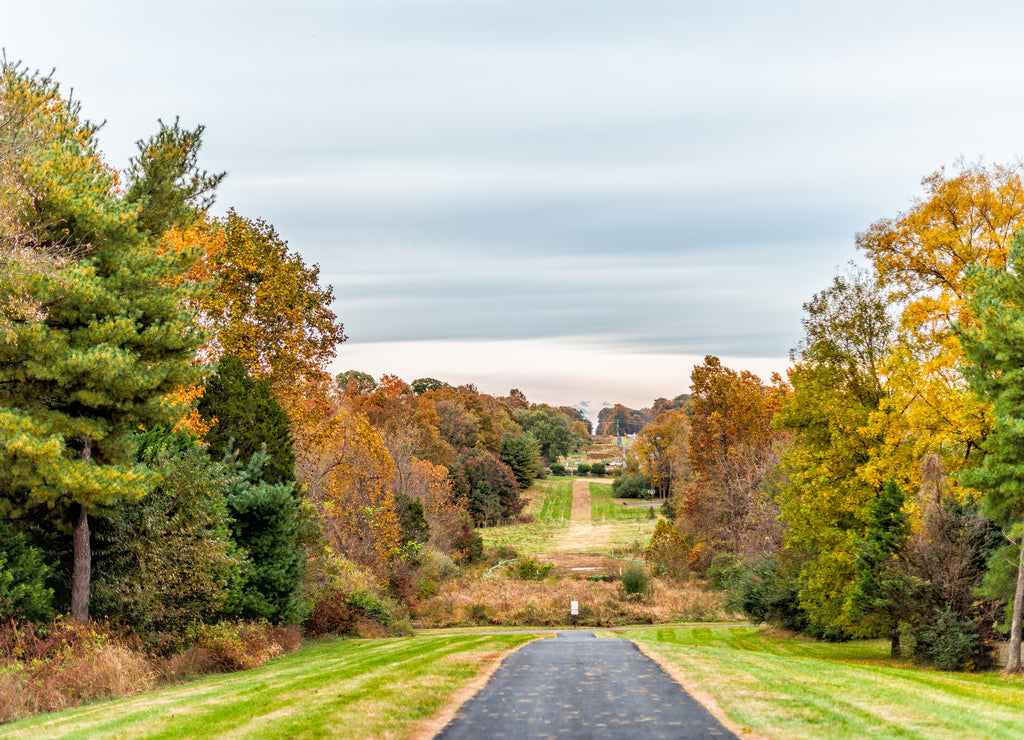 Sugarland Run Stream Valley Trail hike in Herndon, Northern Virginia Fairfax county residential neighborhood in autumn with foliage paved path road and nobody