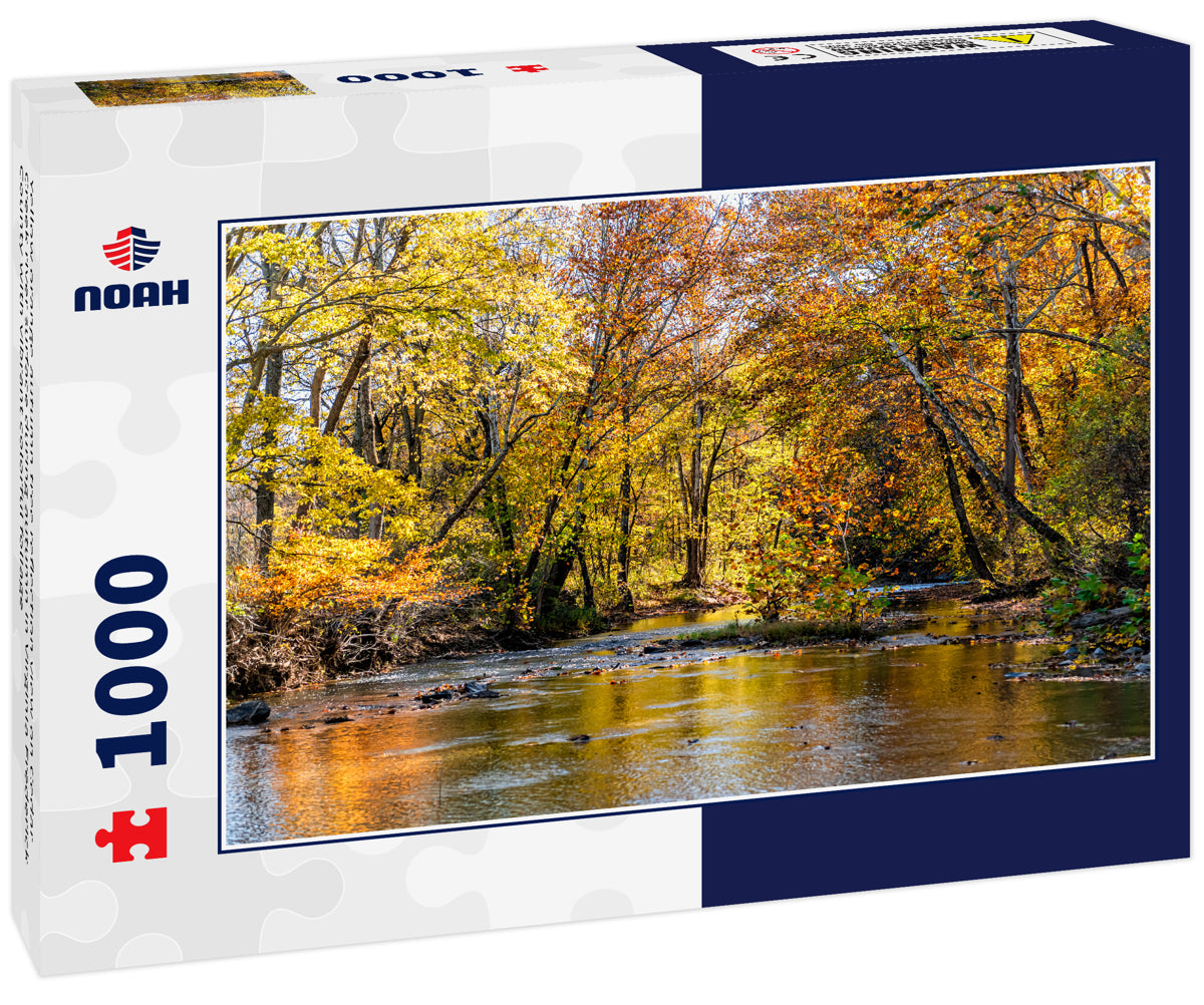 Yellow orange autumn tree reflection view on Cedar Creek river surface during autumn in Virginia Frederick County with vibrant colorful foliage