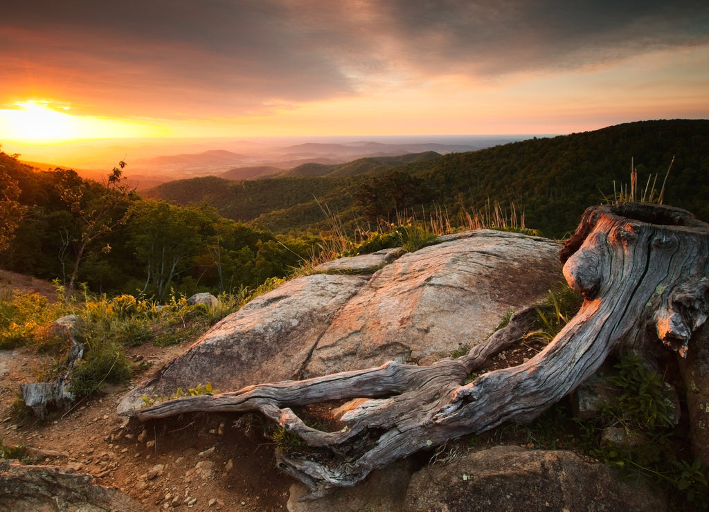 Sunrise at Shenandoah National Drive. View from Skyline Drive, Virginia