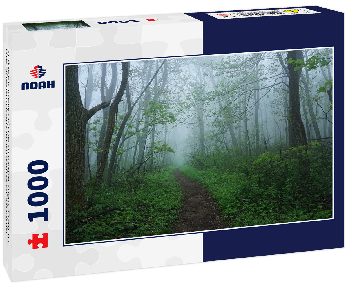 A foggy view of the Appalachian Trail in the Shenandoah Mountains of Virginia